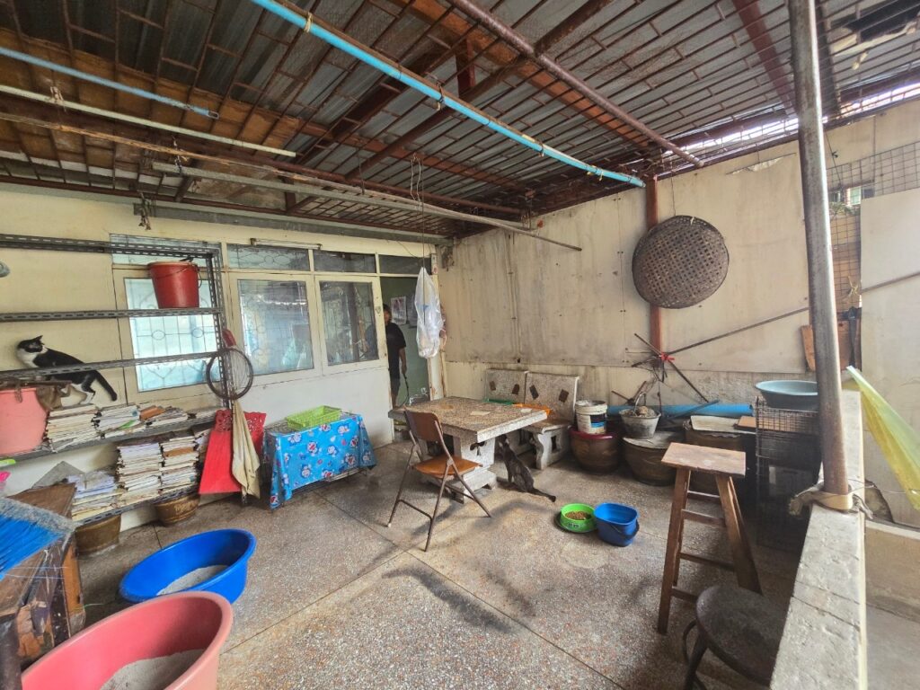 LINE_ALBUM__2069_240531_4
