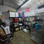 LINE ALBUM 2411 241008 11