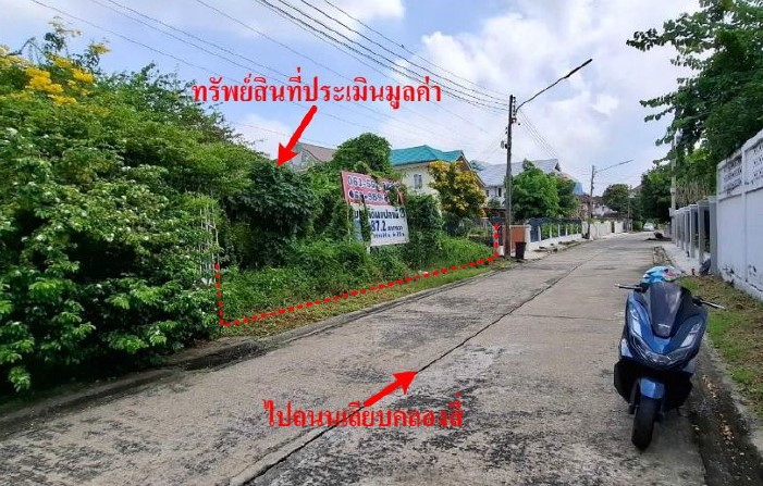 รูปทรัพย์ 1