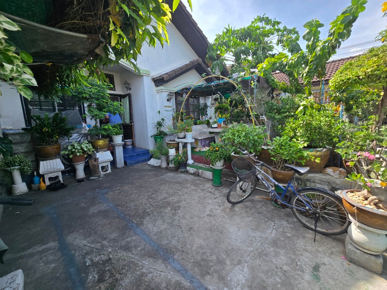 รูปทรัพย์ 3