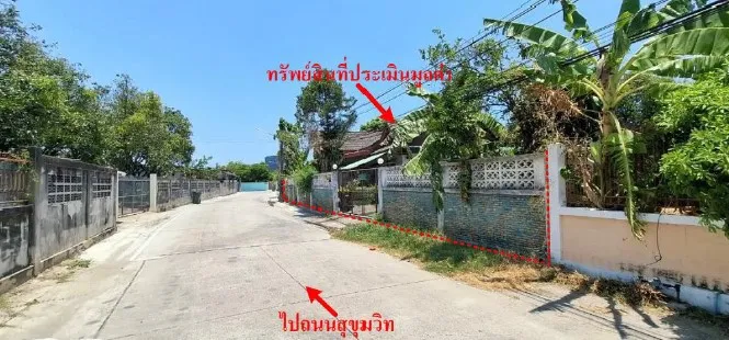 รูปทรัพย์ 1