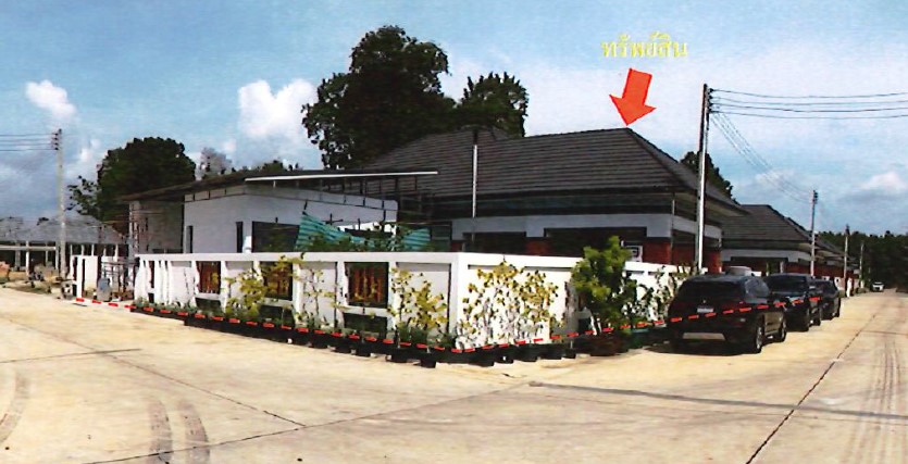 รูปทรัพย์ 1