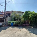 226304 0 1 11zon