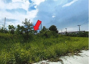 รูปทรัพย์ 5