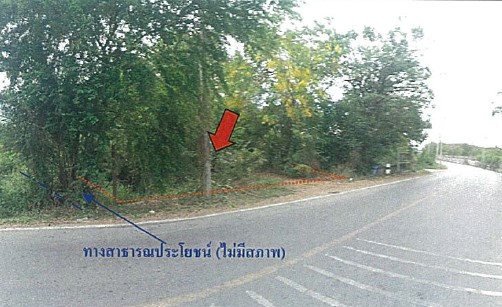 รูปทรัพย์ 1