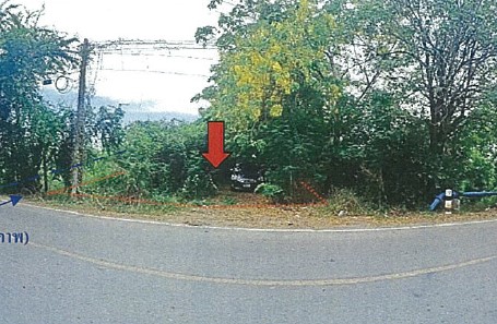 รูปทรัพย์ 2