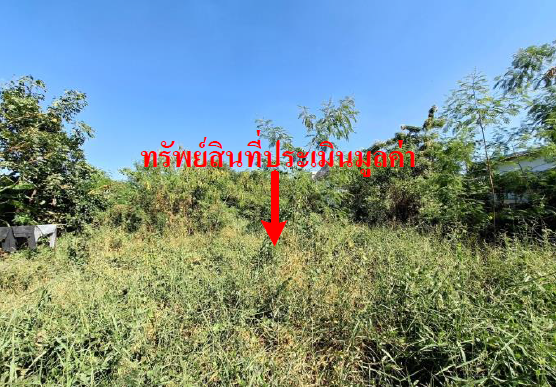 รูปทรัพย์ 4