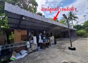รูปทรัพย์ 2