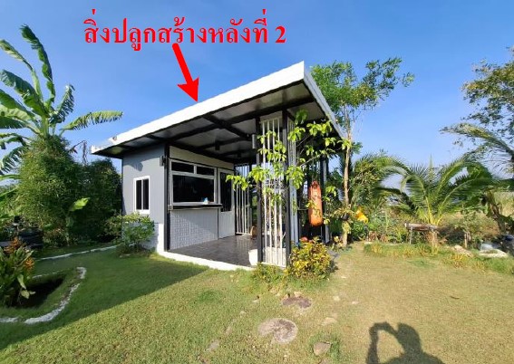 รูปทรัพย์ 4