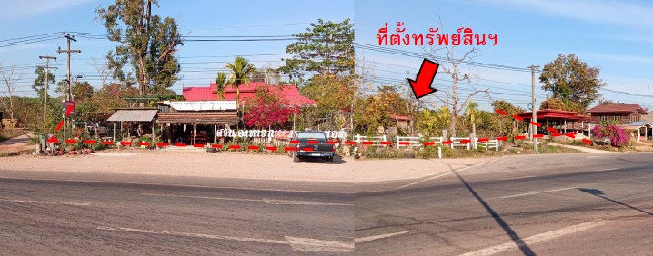 รูปทรัพย์ 1