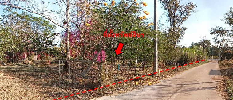 รูปทรัพย์ 9