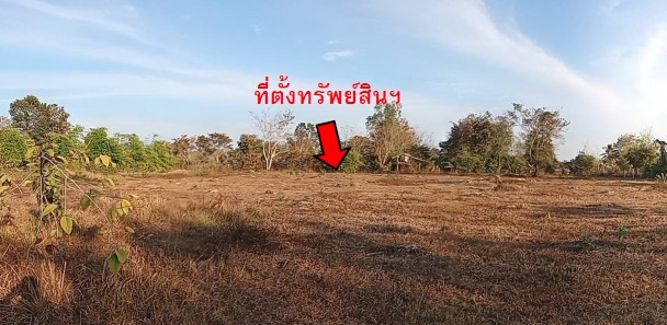 รูปทรัพย์ 8