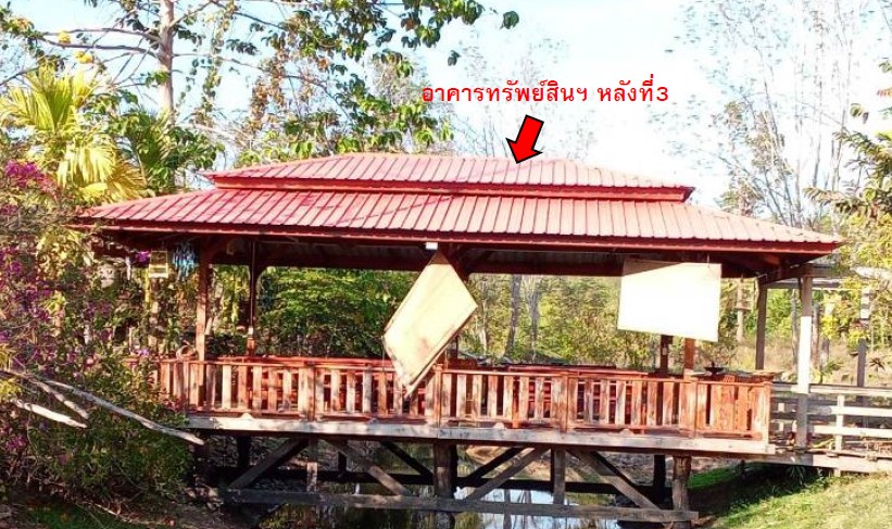 รูปทรัพย์ 7