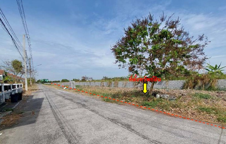 รูปทรัพย์ 2