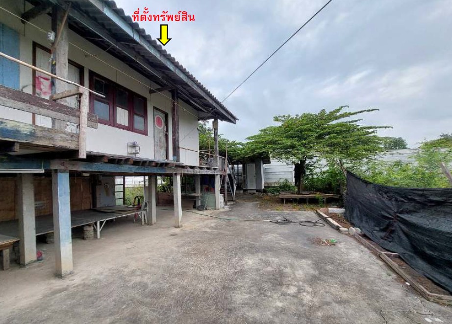 รูปทรัพย์ 3