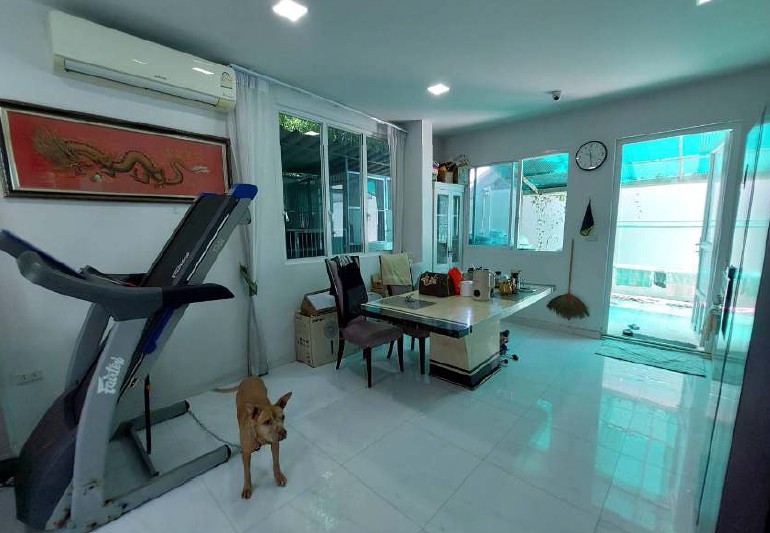 รูปทรัพย์ 11