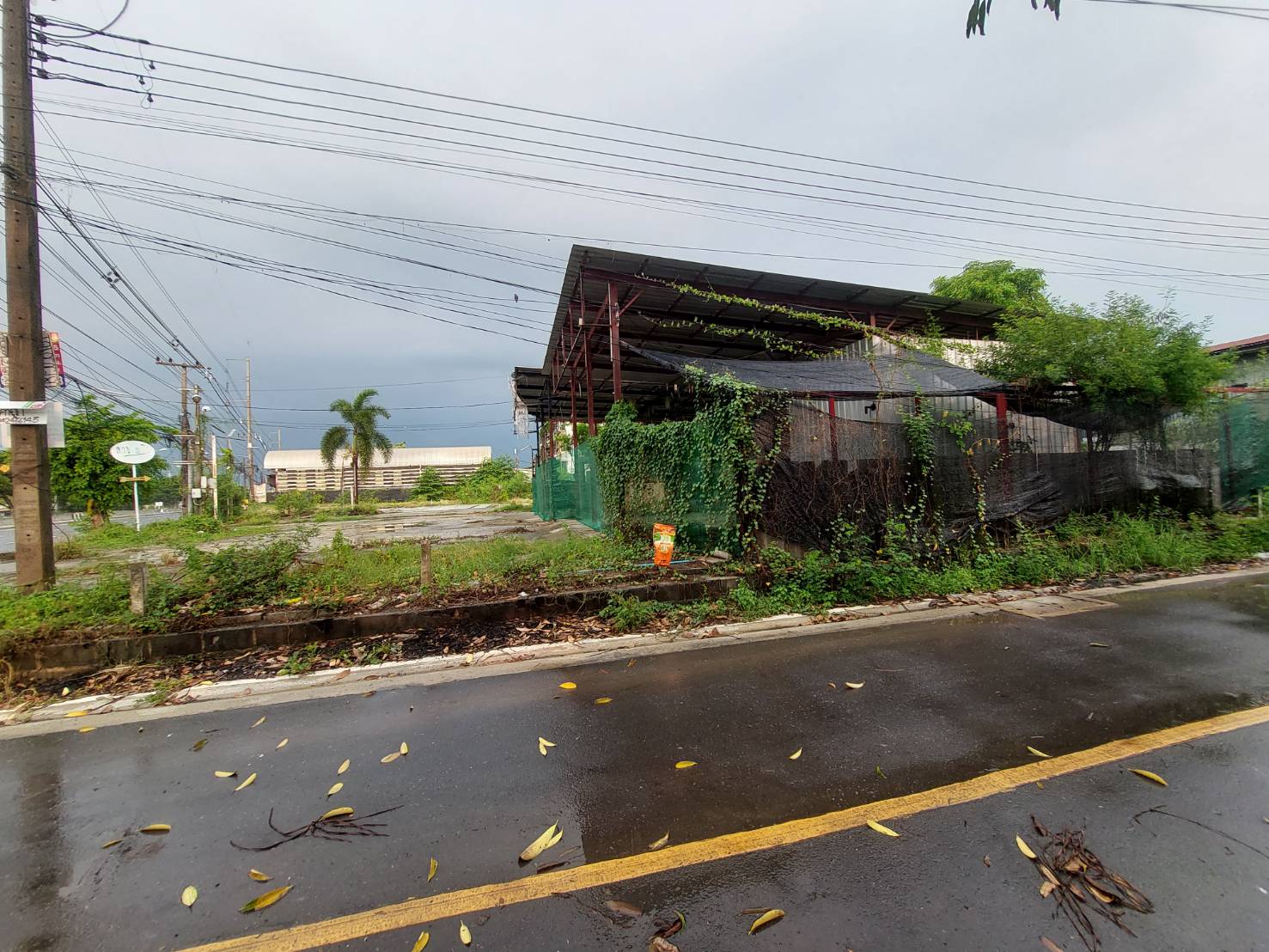 รูปทรัพย์ 3