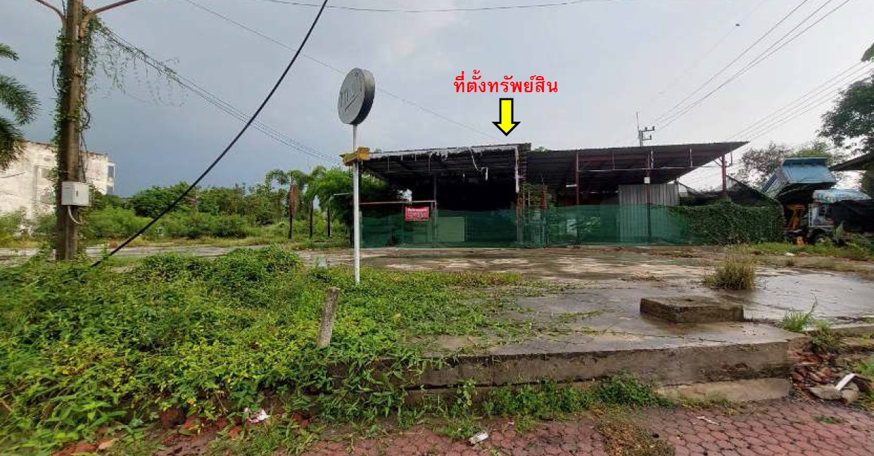 รูปทรัพย์ 1