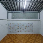 278419 0 6 11zon