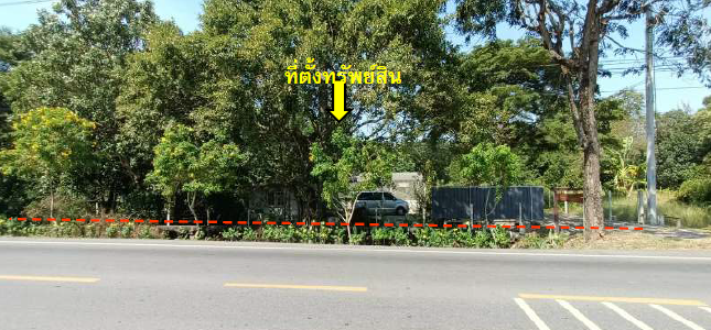 รูปทรัพย์ 1
