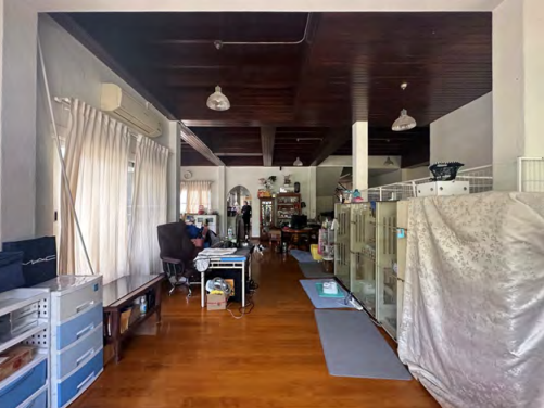 รูปทรัพย์ 3