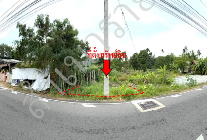 รูปทรัพย์ 1