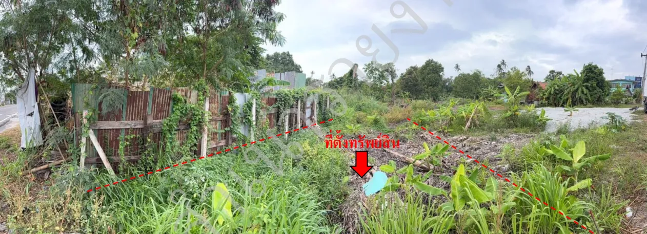 รูปทรัพย์ 2