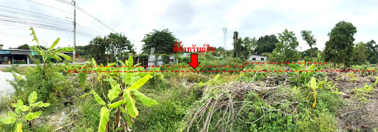 รูปทรัพย์ 3