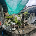 Screenshot 2026 02 27 115031 3 11zon