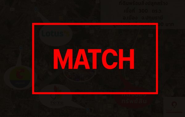match2446