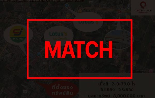 match3161
