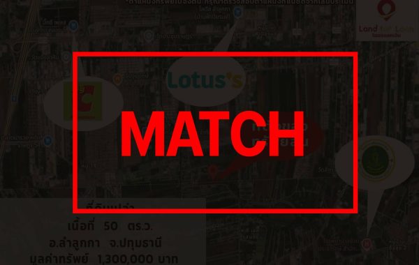 match3391