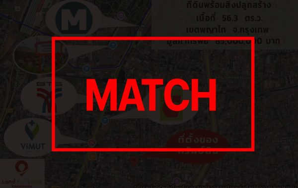 matcha146