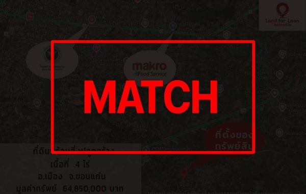 matcha77