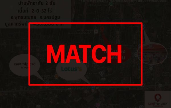 matcha99